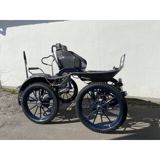 FS Flex Sport