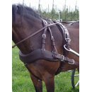 Ideal 1-Sp�nner Brustblatt Freestyle EuroTech Classic