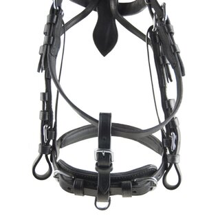 Ideal Verbindungsriemen mit Schnalle