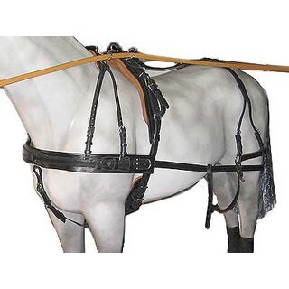 Impoert Leder Geschirr